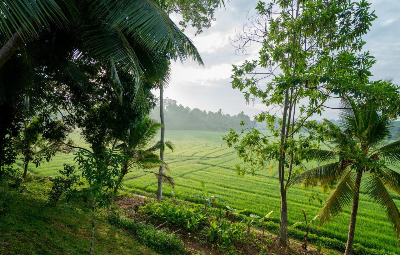 Villa Alba - Ahangama Luaran gambar
